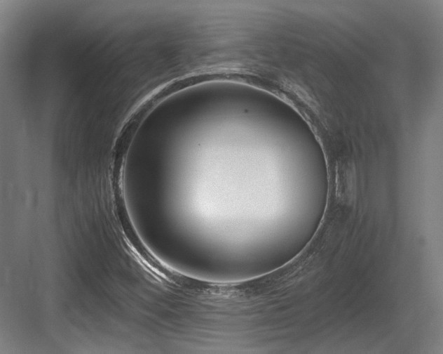 X0000083661452200702121203