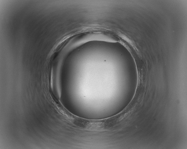 X0000083661453200702121203