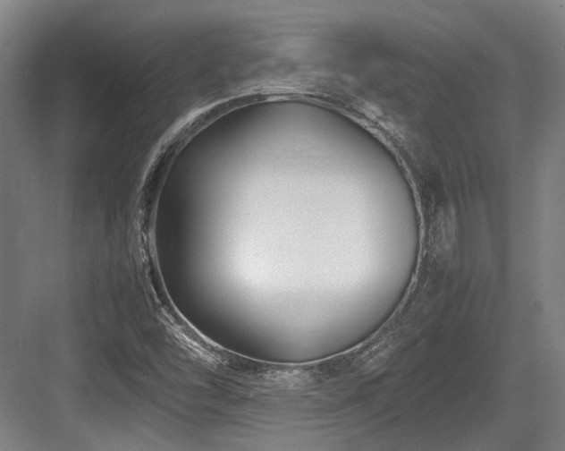 X0000083661454200702121203