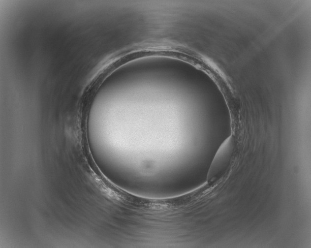 X0000083661456200702121203