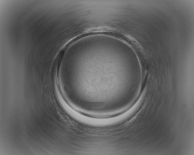 X0000083661457200702121203