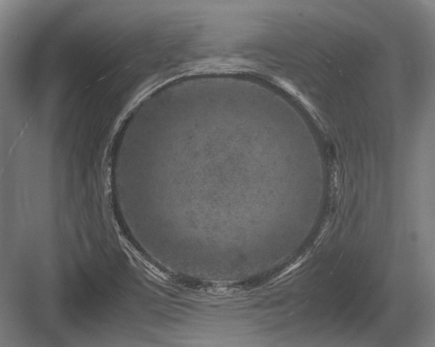 X0000083661459200702121203