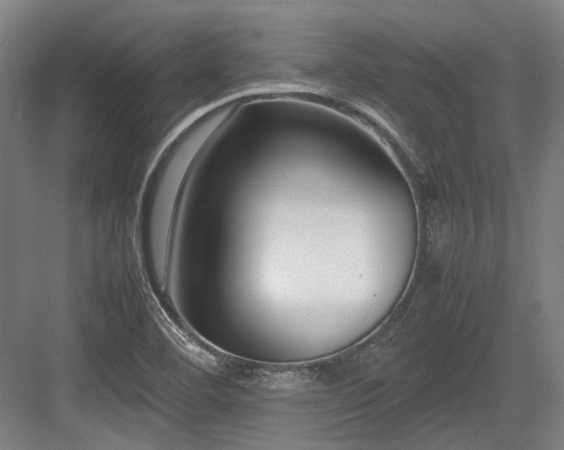 X0000083661460200702121203