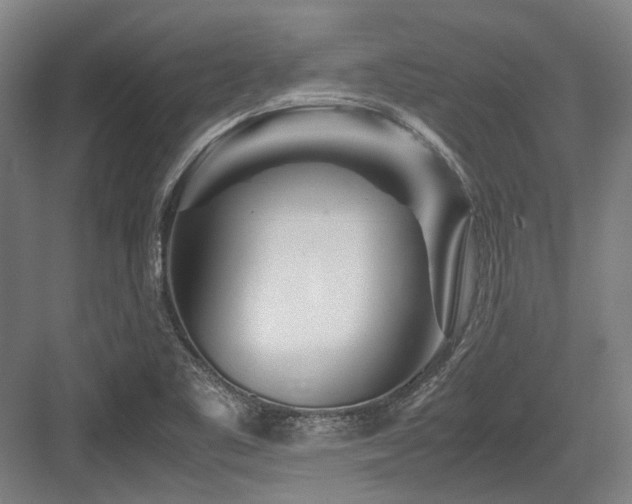 X0000083661461200702121203