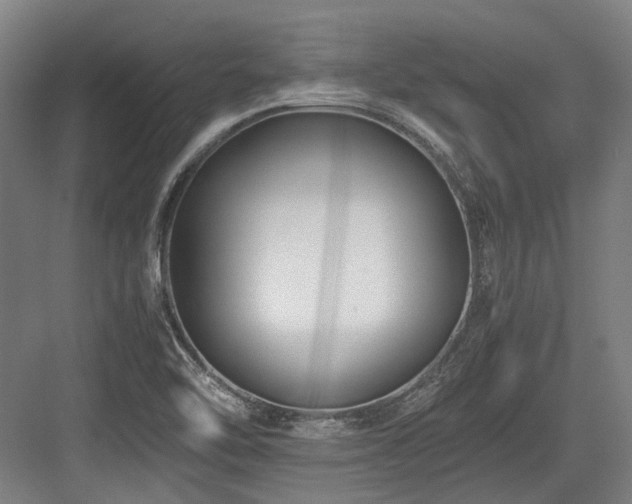 X0000083661462200702121203