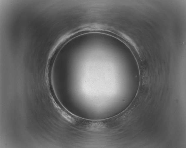 X0000083661464200702121203