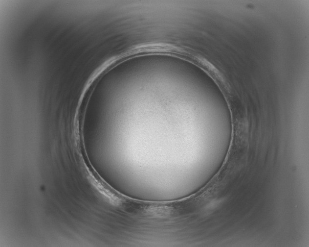 X0000083661466200702121203