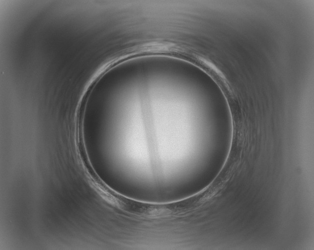 X0000083661467200702121203