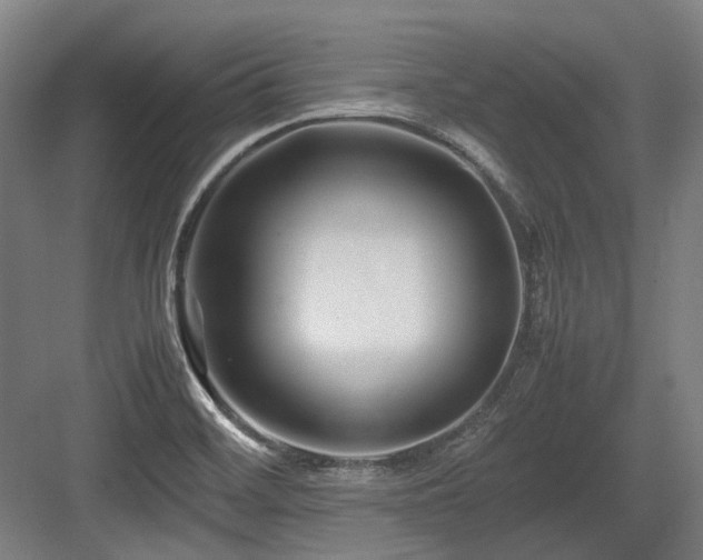 X0000083661468200702121203