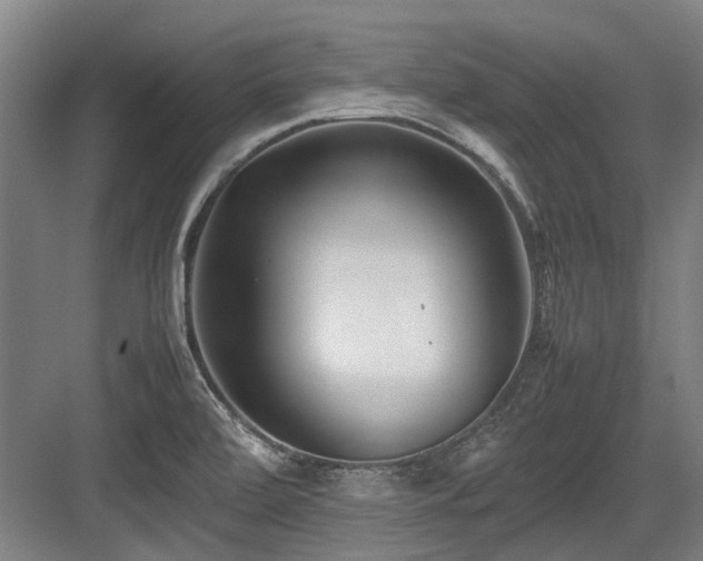 X0000083661472200702121203