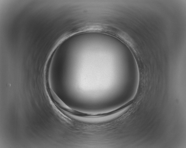X0000083661475200702121203
