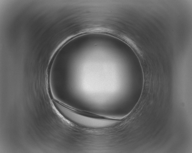 X0000083661476200702121203