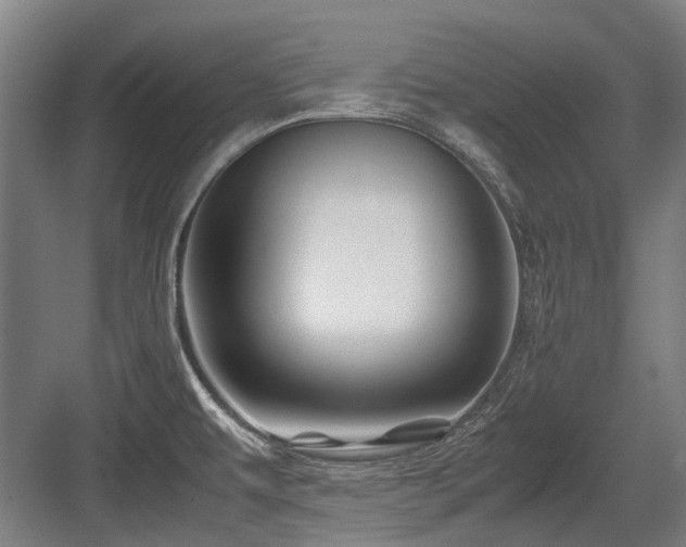 X0000083661479200702121203