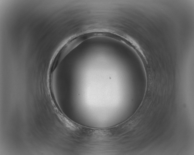 X0000083661480200702121203