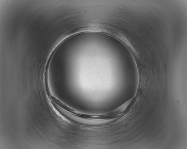X0000083661484200702121203