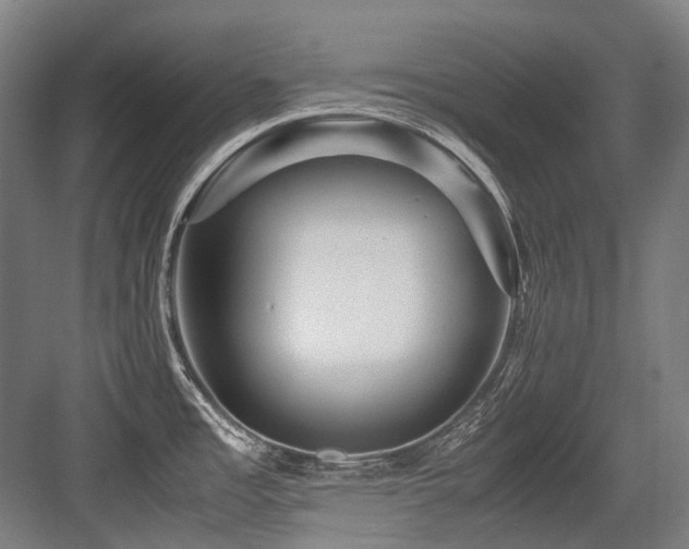 X0000083661485200702121203
