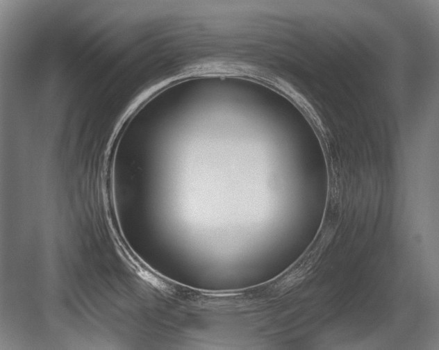 X0000083661486200702121203