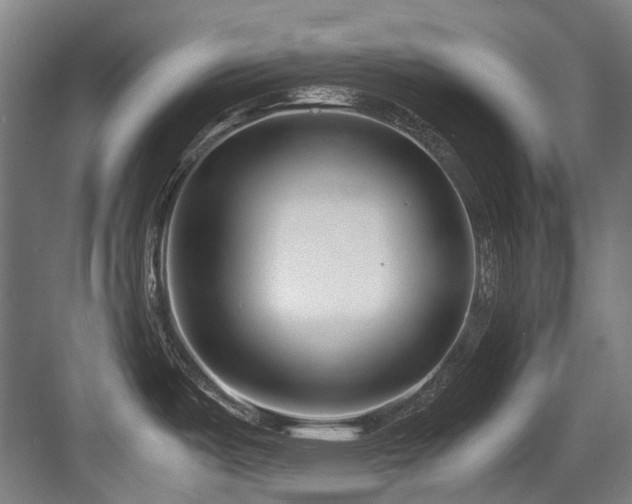 X0000083661487200702121203