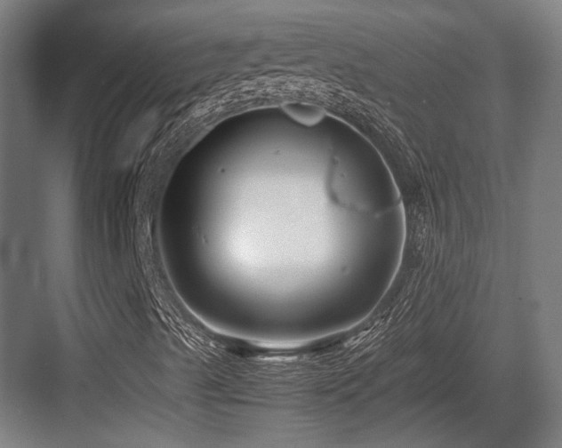 X0000083661489200702121202