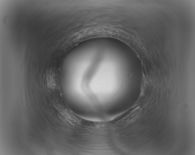 X0000083661490200702121202