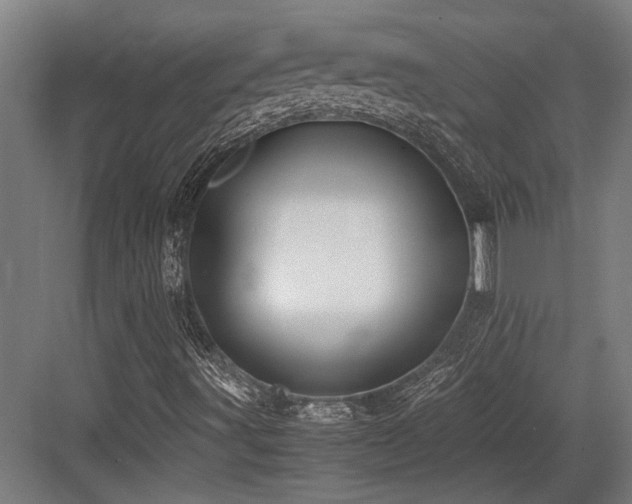 X0000083661491200702121202