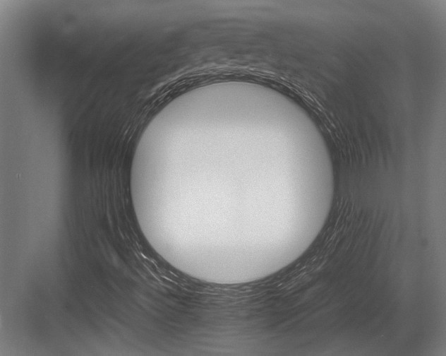 X0000083661492200702121202