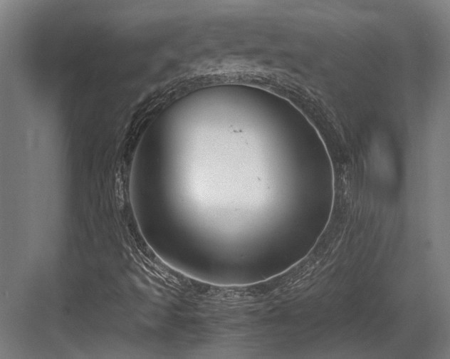 X0000083661493200702121202