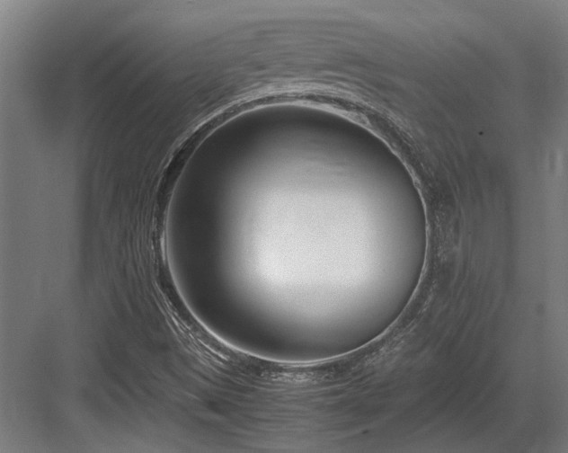 X0000083661497200702121202