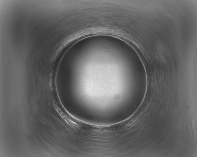 X0000083661499200702121202