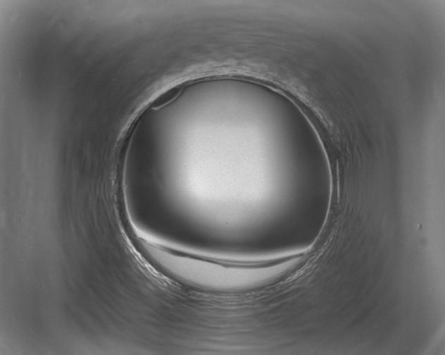 X0000083661500200702121202