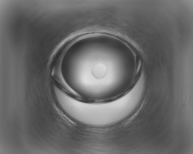 X0000083661502200702121202