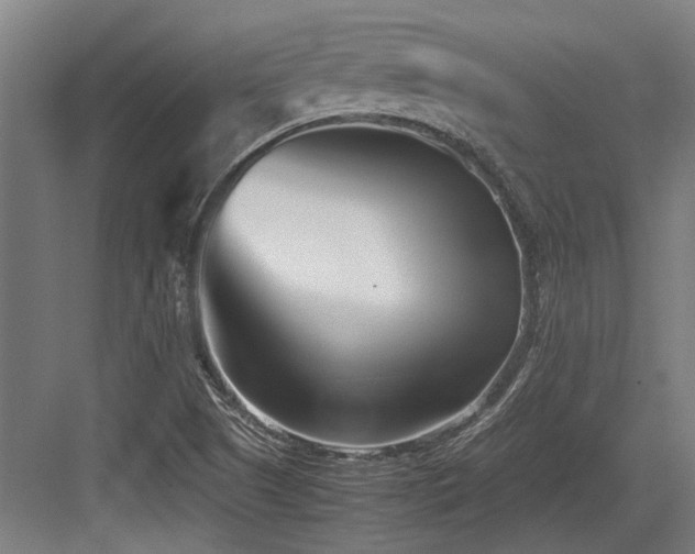 X0000083661505200702121202