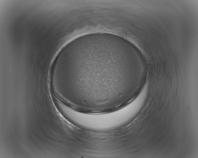 X0000083661508200702121202