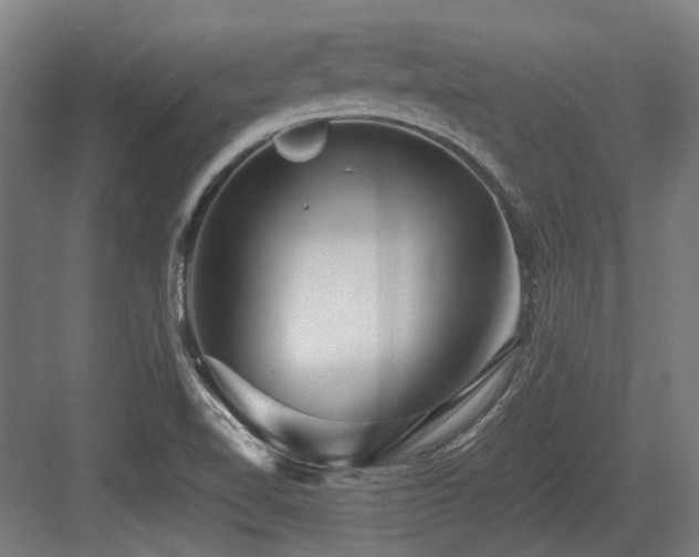 X0000083661510200702121202