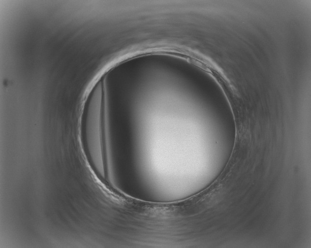 X0000083661512200702121202
