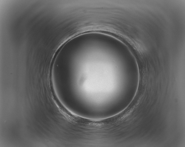 X0000083661513200702121202