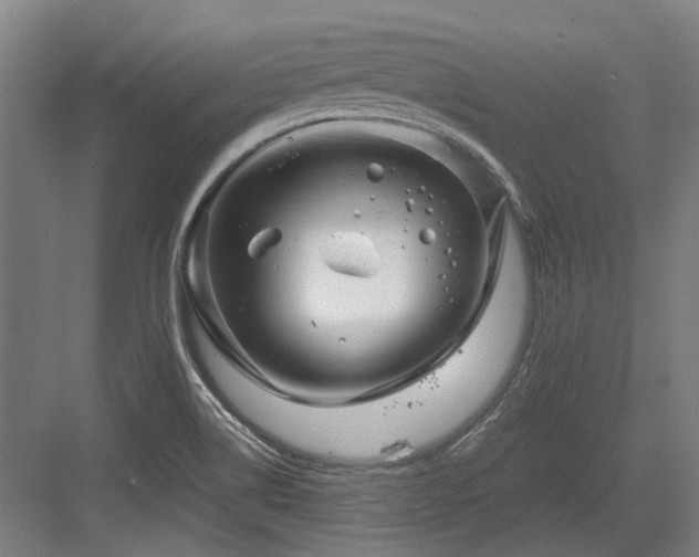 X0000083661514200702121202