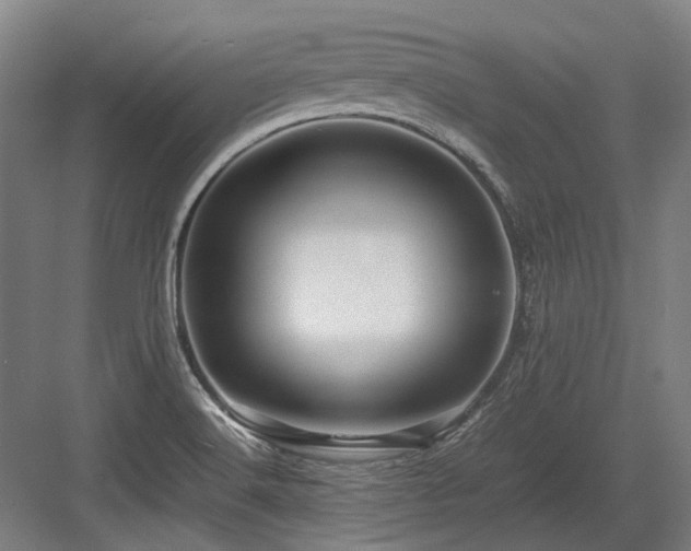 X0000083661516200702121202