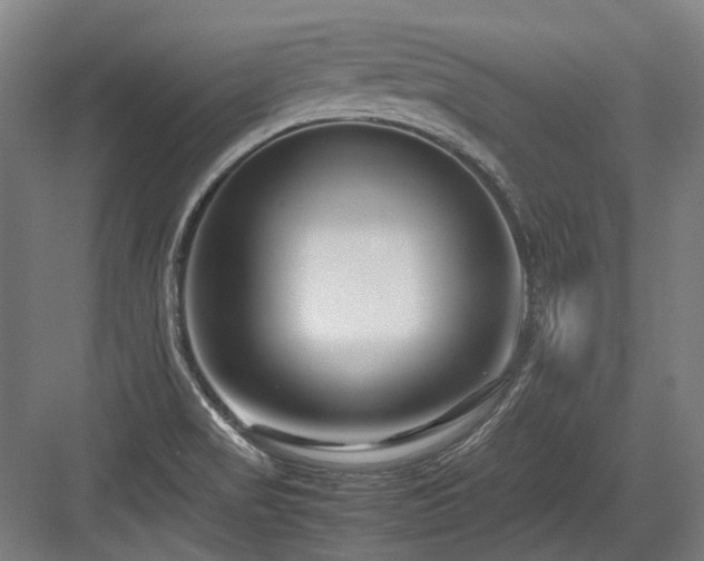 X0000083661517200702121202