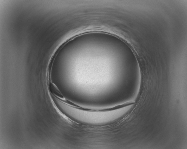 X0000083661519200702121202