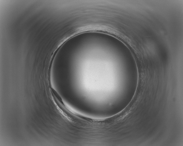 X0000083661521200702121202