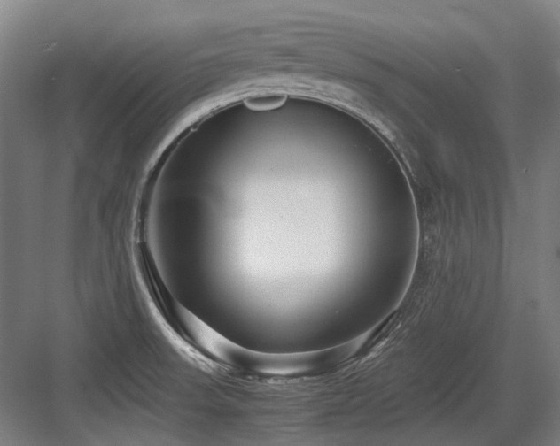 X0000083661523200702121202