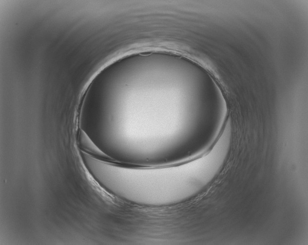 X0000083661524200702121202