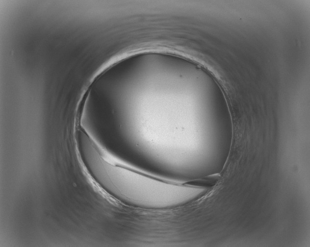 X0000083661526200702121203