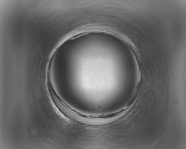 X0000083661528200702121203