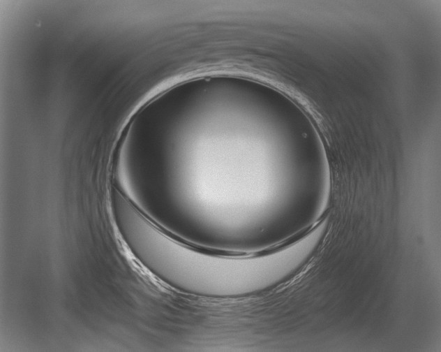 X0000083661534200702121203