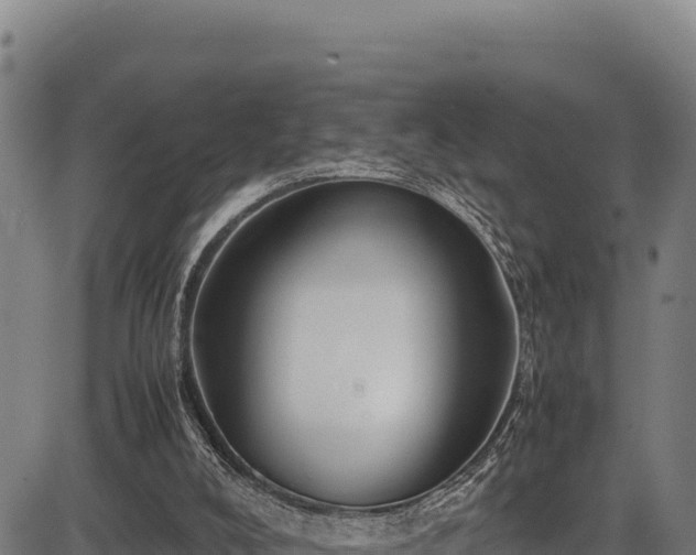 X0000083660008200702201512