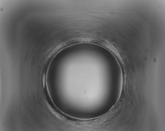 X0000083660013200702201512
