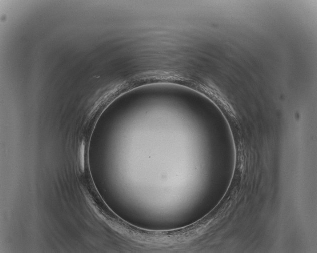 X0000083660014200702201512
