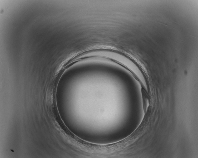 X0000083660015200702201512
